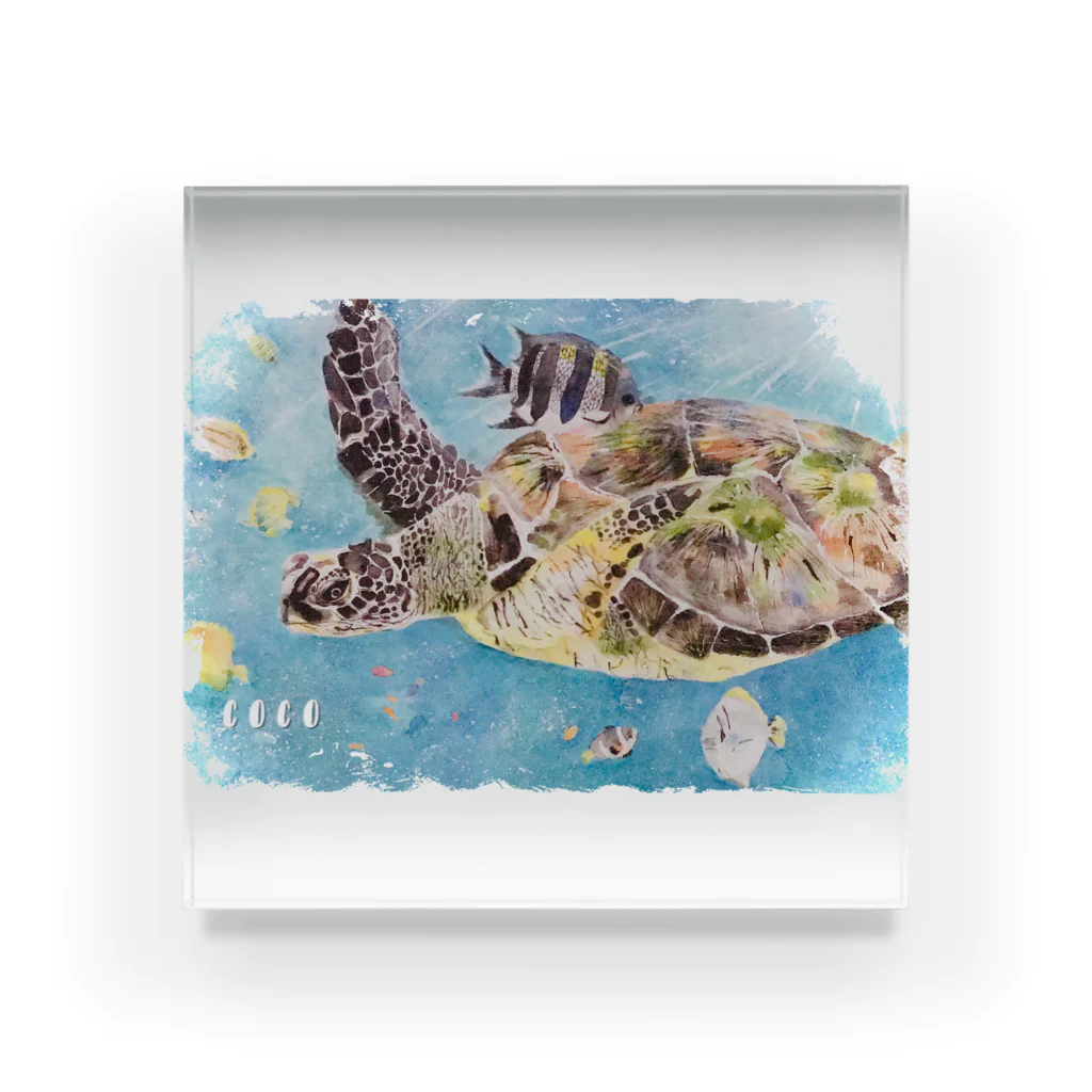 NanaCoco10  ナナココのウミガメ　水彩画 Acrylic Block