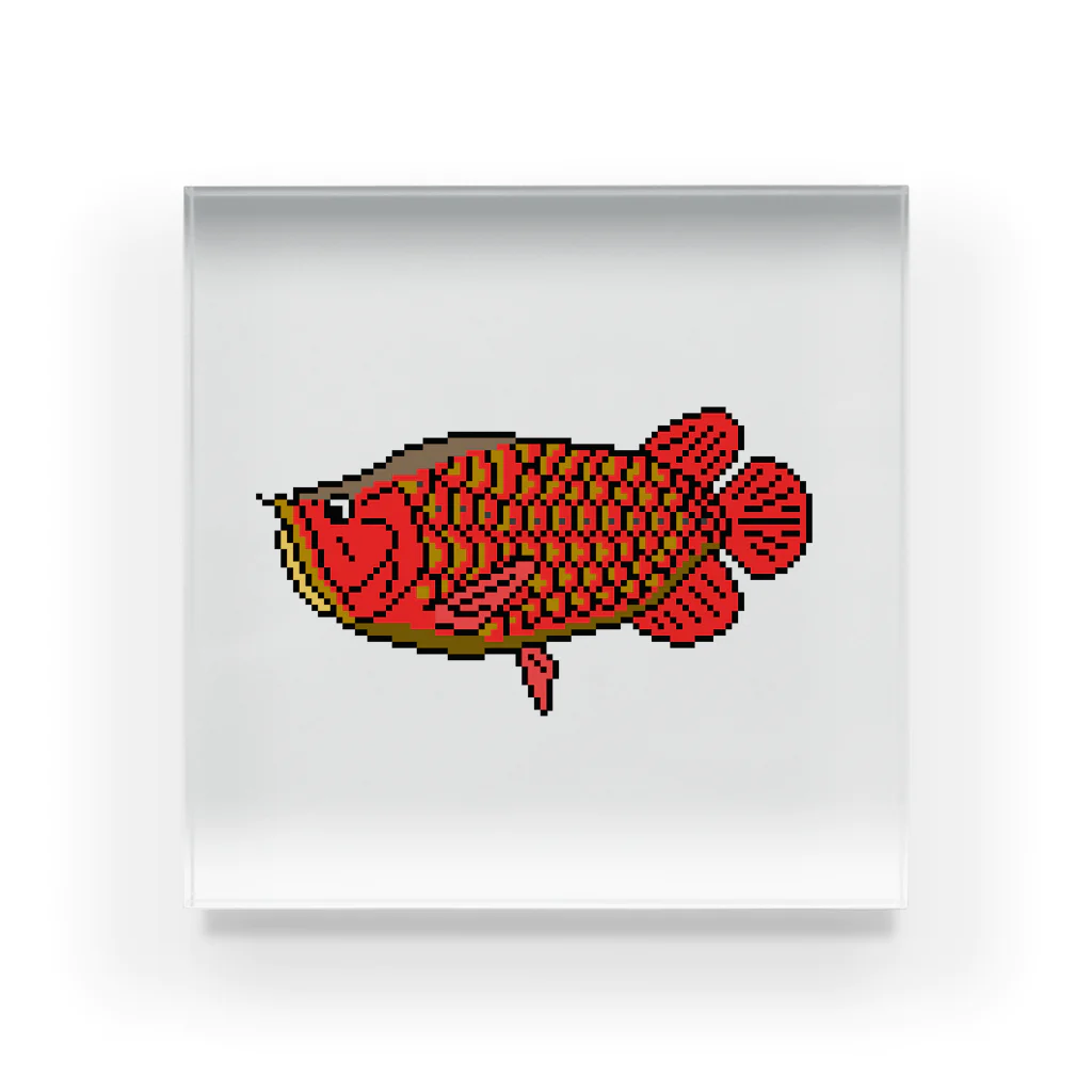 華廠楼(かしょうろう)のドット絵怪魚　紅龍 Acrylic Block