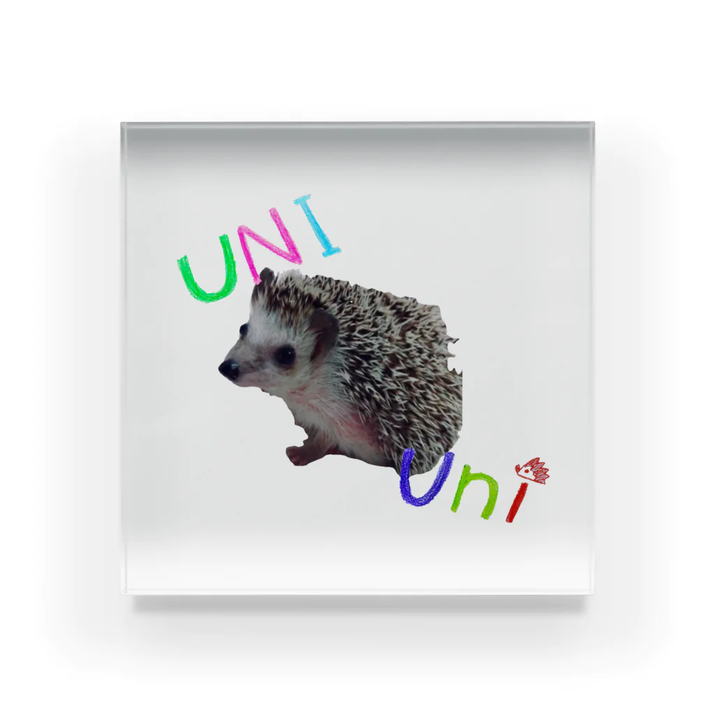 URCHINのUNIuni♪ Acrylic Block