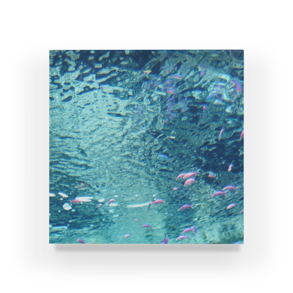 hakureizanのピンクパープル熱帯魚 Acrylic Block