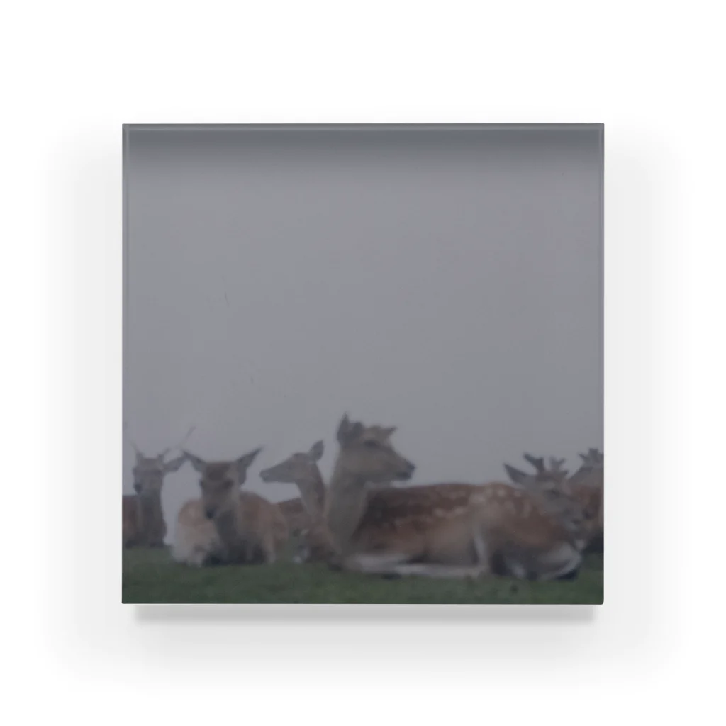 PORTONE, ART, LABORATORY.のFog and deer II Acrylic Block