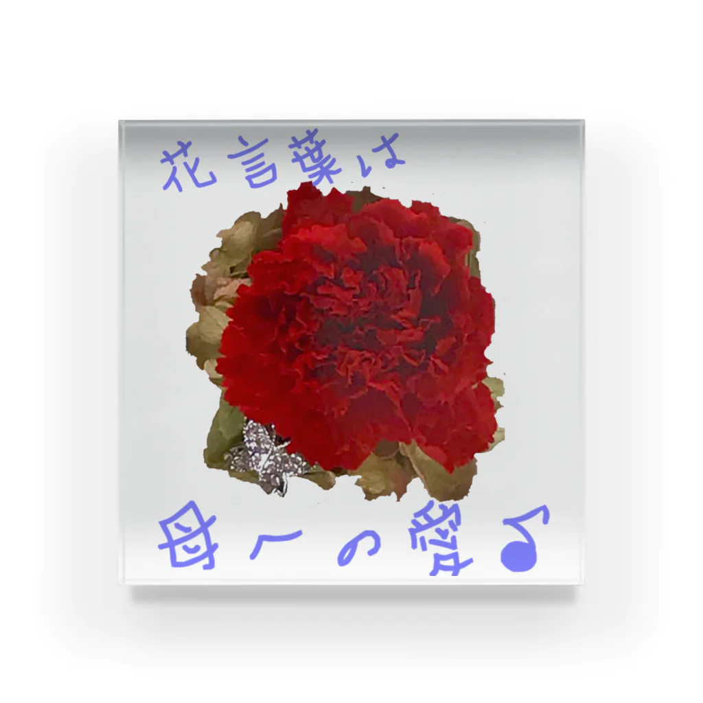 お花の双葉のレッドカーネーション(花言葉) Acrylic Block