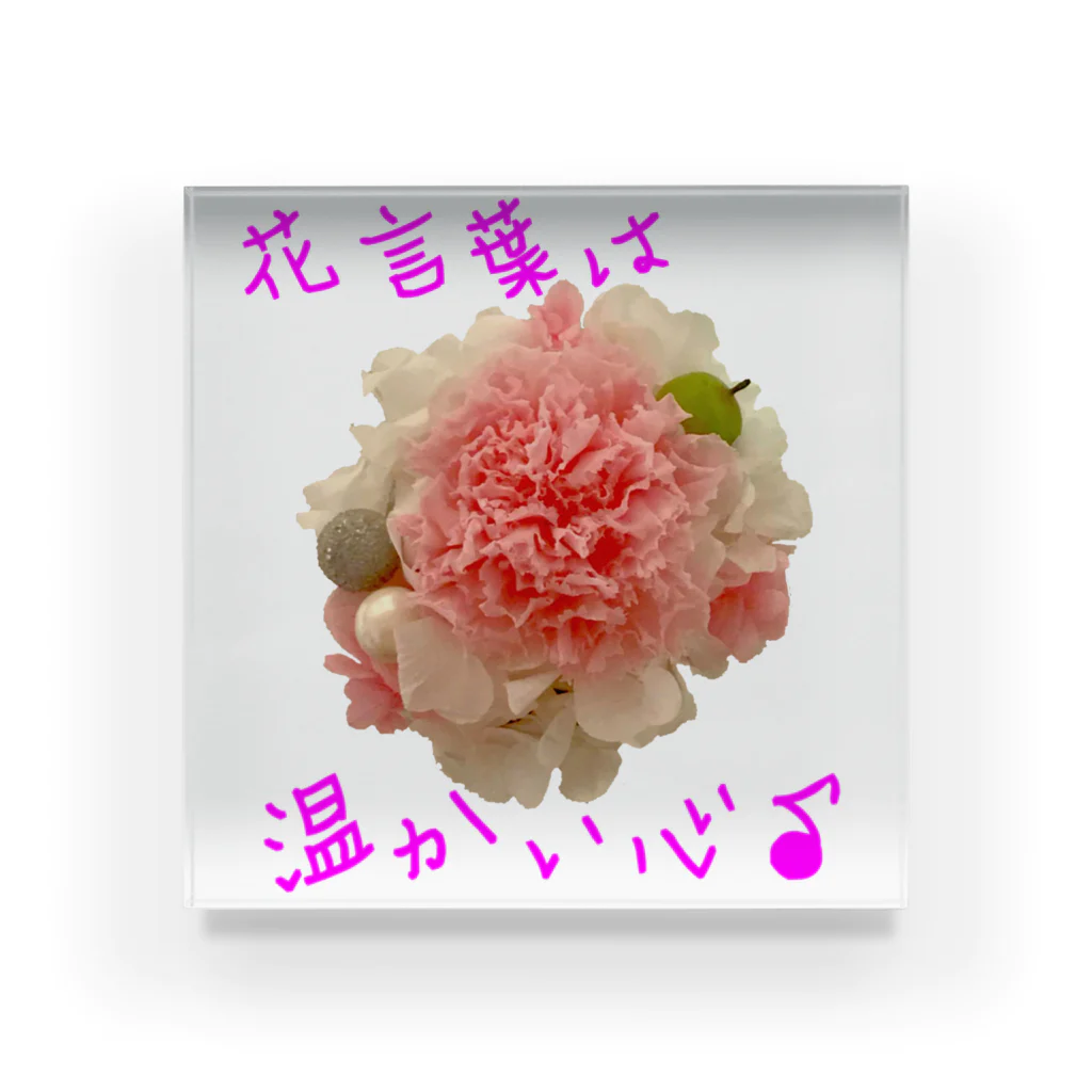 お花の双葉の薄いピンクカーネーション(花言葉) Acrylic Block