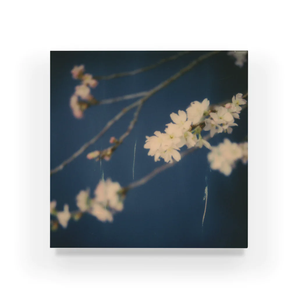 Petrichorの夜桜 Acrylic Block