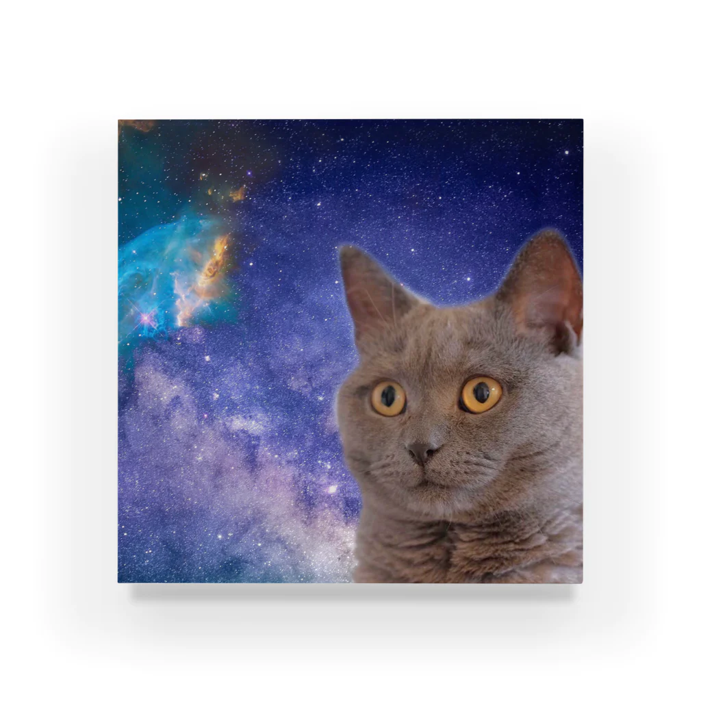 space cat storeのスペースキャット　シャノン Acrylic Block