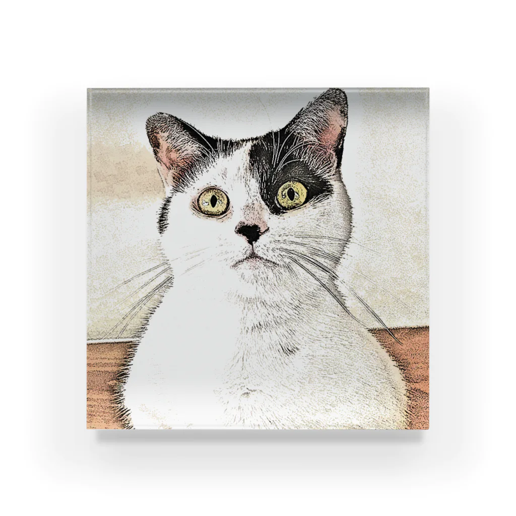 猫ねむりzzz..の鼻ブチ猫ちゃんスケッチ風 Acrylic Block