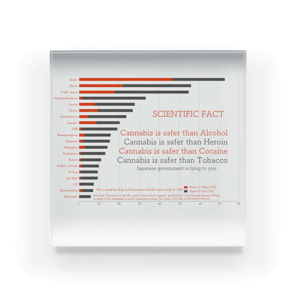 CKのScoring drug Acrylic Block