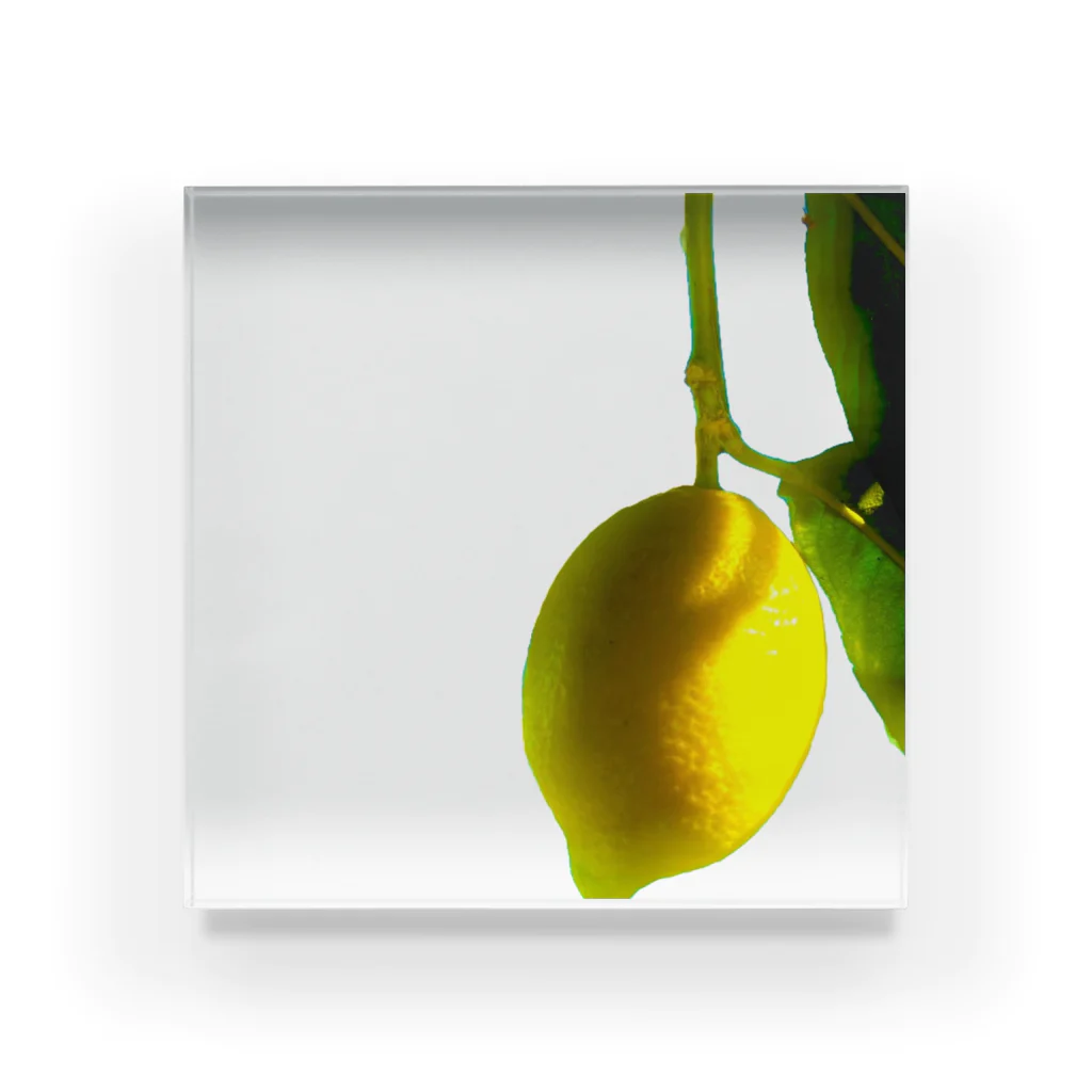 ﾆｼｷｵﾘ🍋Collectionの熱海レモン🍋0 Acrylic Block