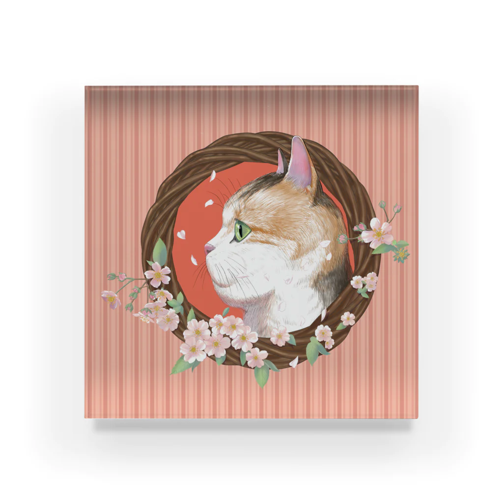 野田　尚花の桜と三毛猫  Acrylic Block