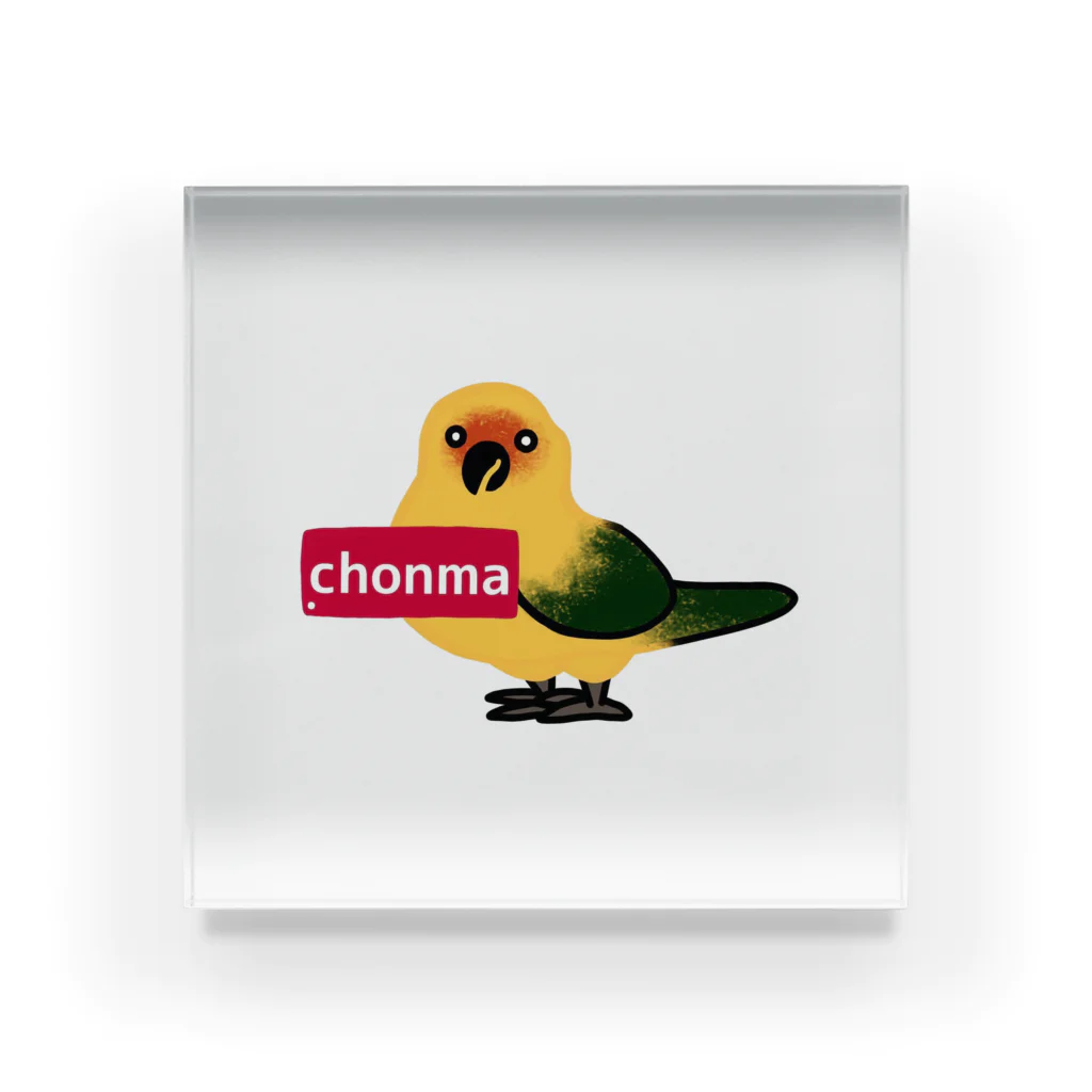 コガネメキシコ　ちょんまさん　chonmaのChonma  アクリルブロック