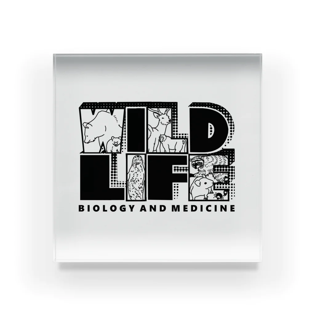 Lab of Wildlife Biology and Medicine OfficialのWILDLIFE - Light color アクリルブロック