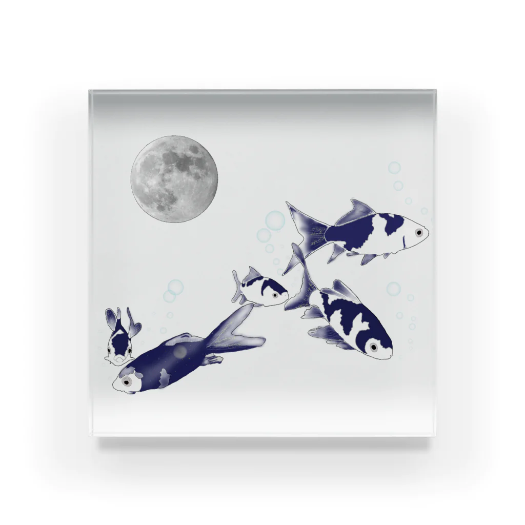 なるときんときんSHOPの夜の金魚 Acrylic Block