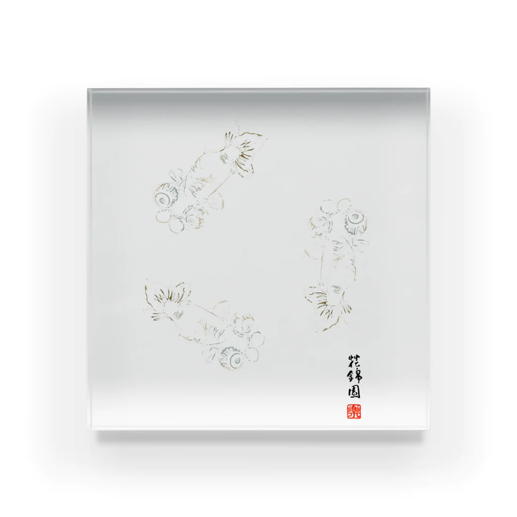 花錦園　～Kakin-en～の【金魚】花房頂天眼～巴～ Acrylic Block