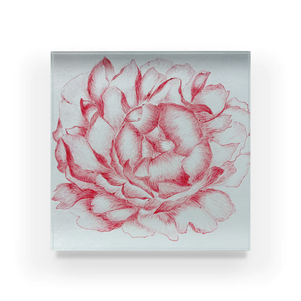 ピッチーの芍薬 peony Acrylic Block