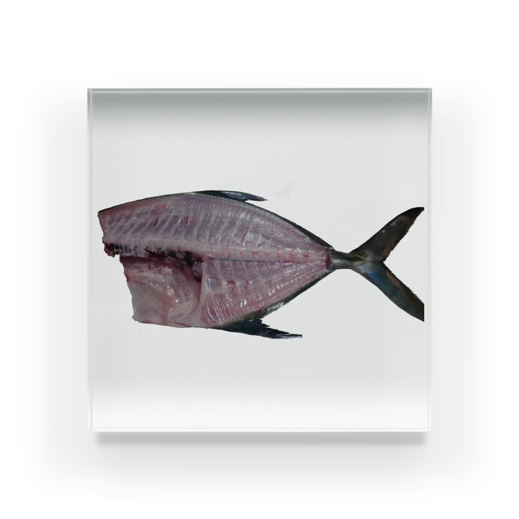 ビるばの捌いた魚 Acrylic Block