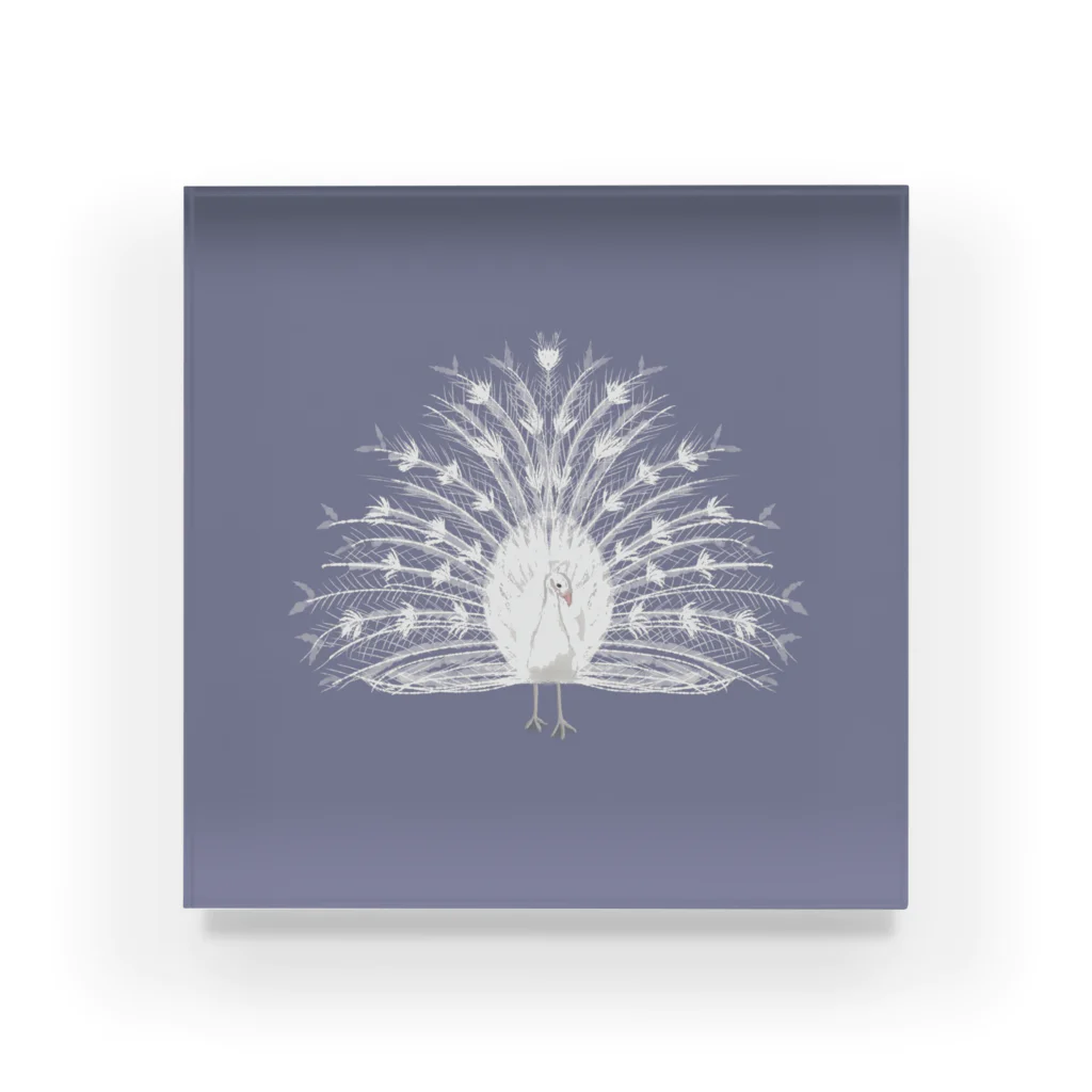 eのWhite Peacock Acrylic Block