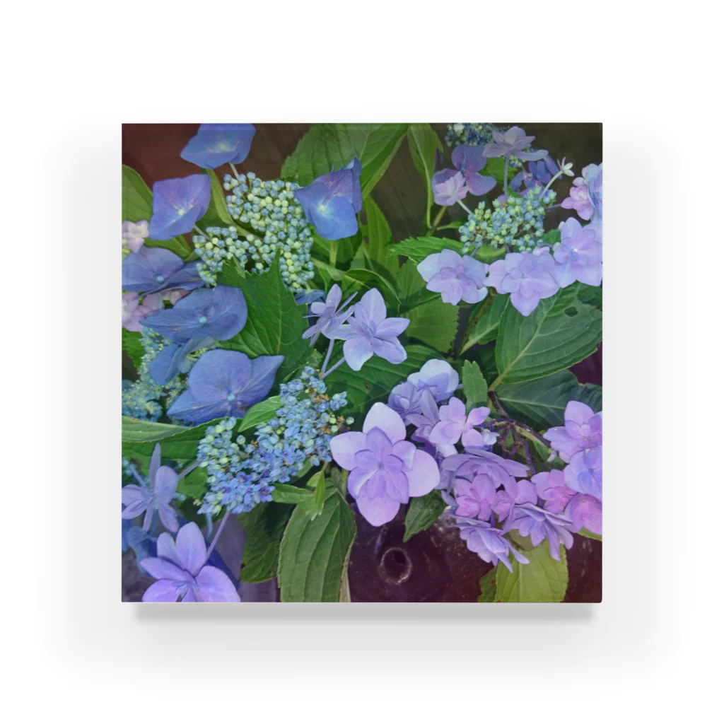 水彩屋の紫陽花（生花） アクリルブロック