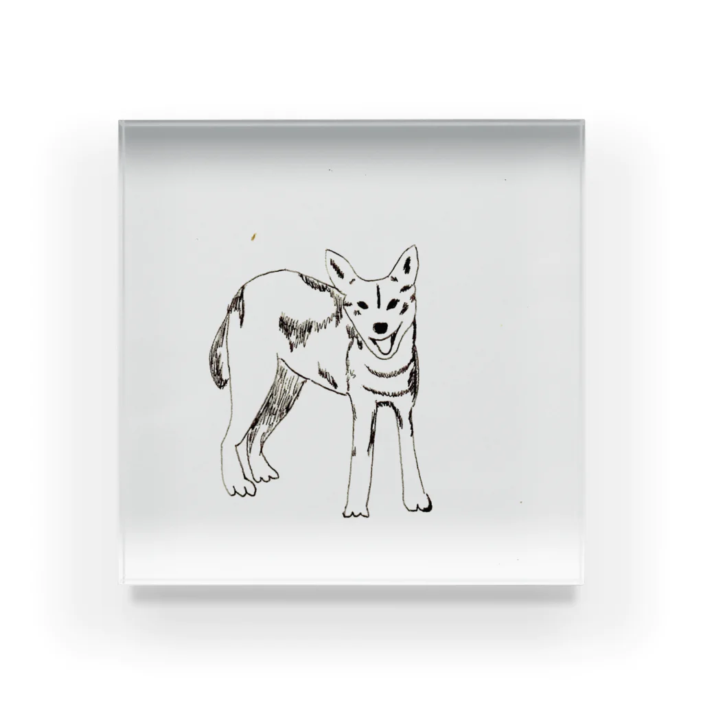 Mariekobayashiのオオカミかな犬かな Acrylic Block