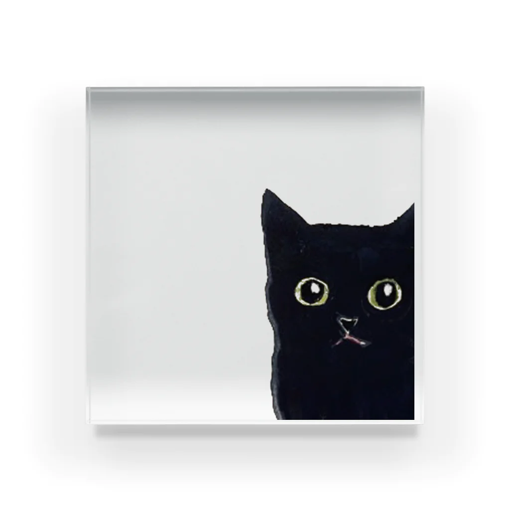 WAMI ARTの窓の黒猫 Acrylic Block