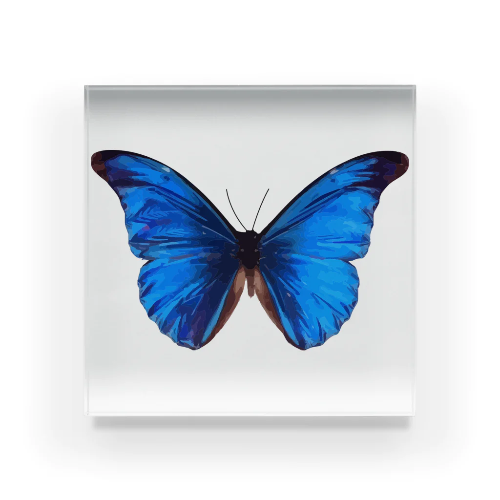 Darkness and individualityのMorpho アクリルブロック