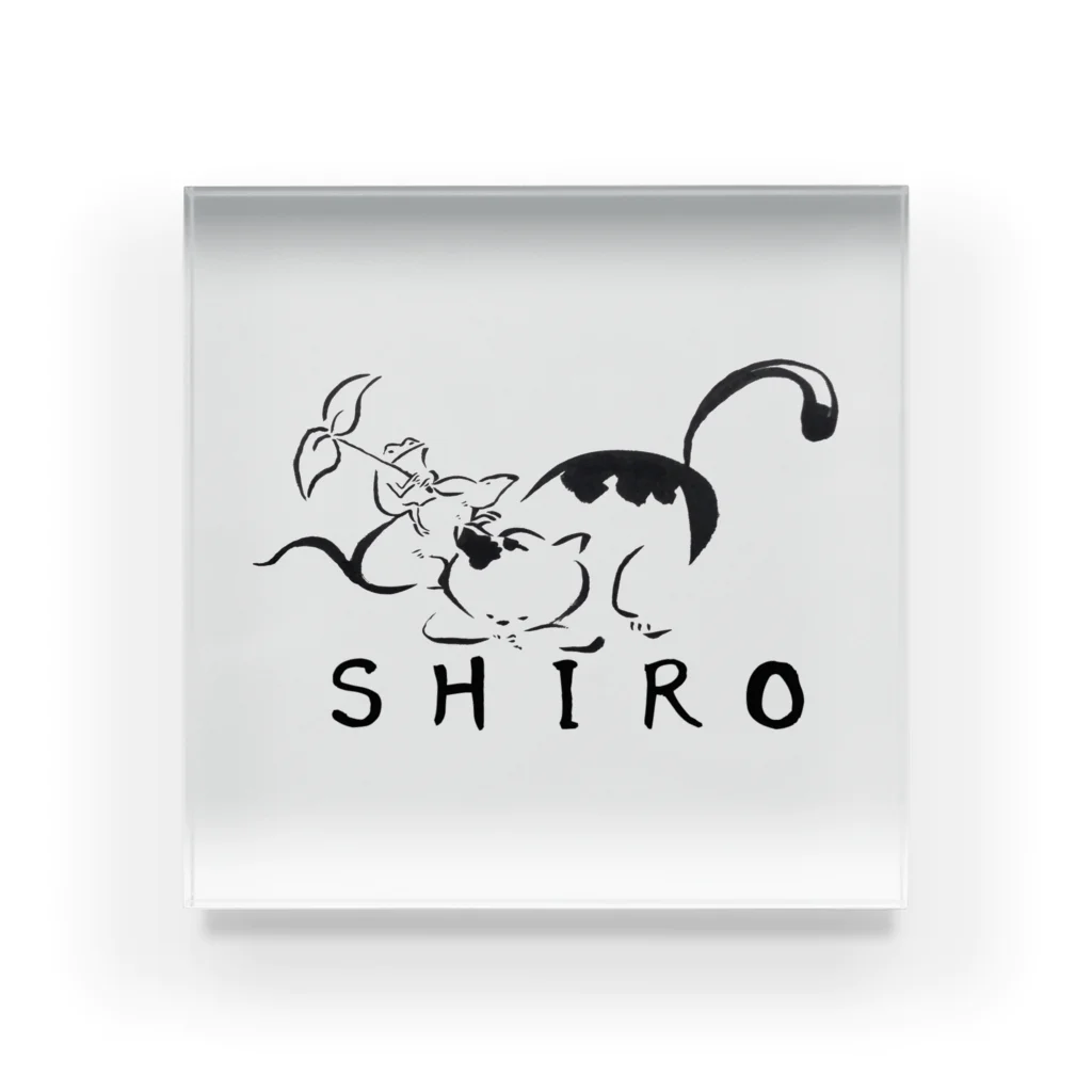 ＳＨＩＲＯのマッサージ(ﾉ´･ω･)ﾉ Acrylic Block