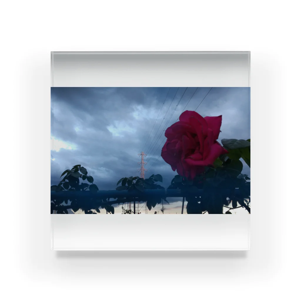 halo arts (はろあーつ)🌈中村大当たり🎯の曇り空に咲く Acrylic Block