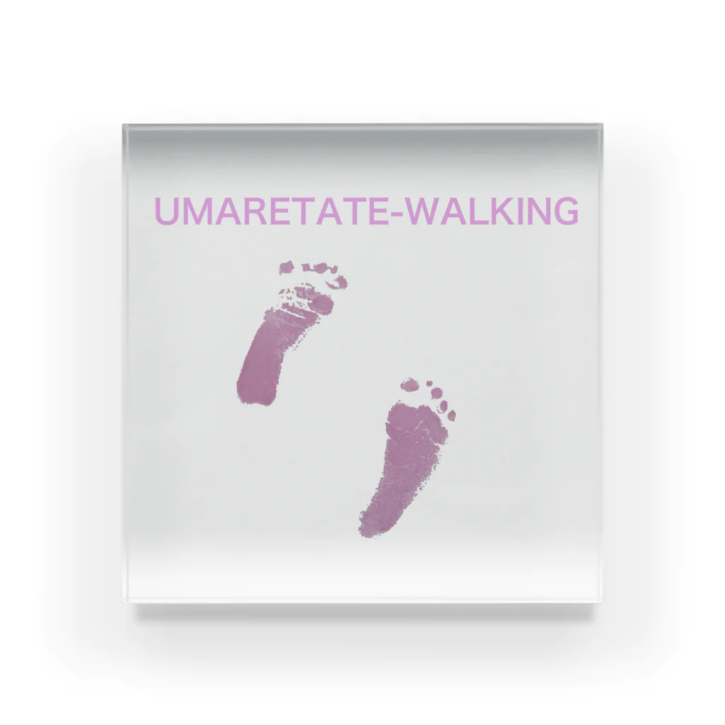 Coi_GalleryのUMARETATE-WALKING アクリルブロック