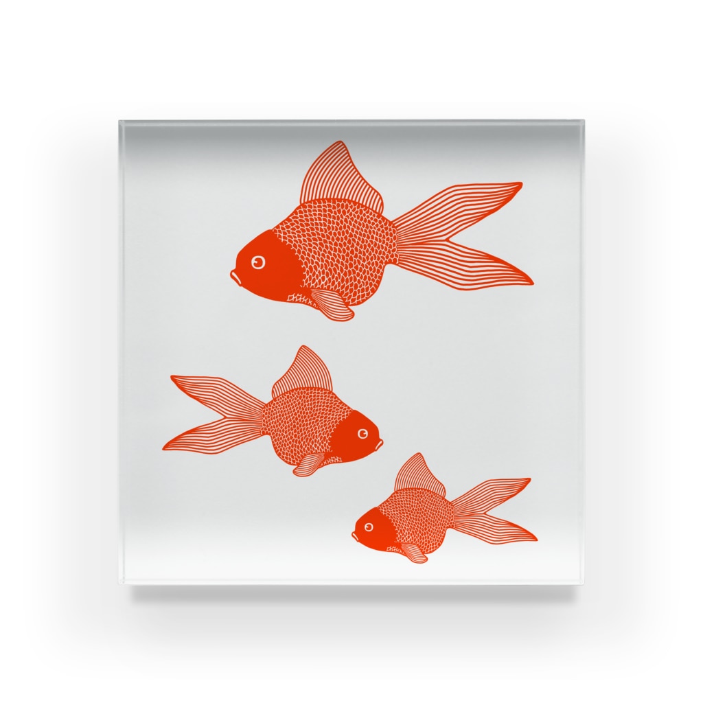 Alba spinaの金魚３匹 Acrylic Block