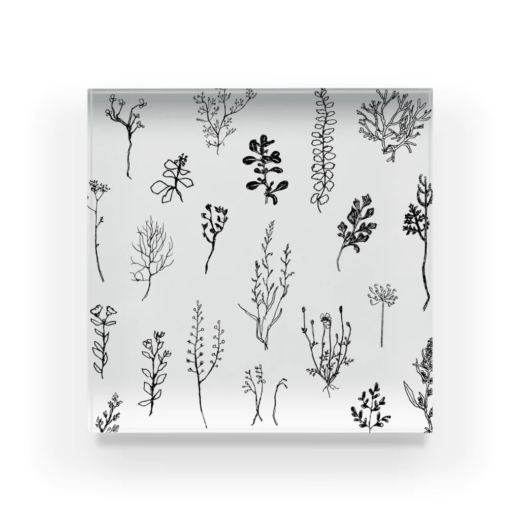 fujiiikukoのPLANTS Acrylic Block