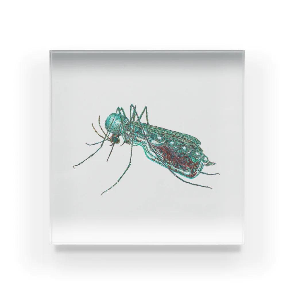 Canvasのラムネ蚊 Acrylic Block