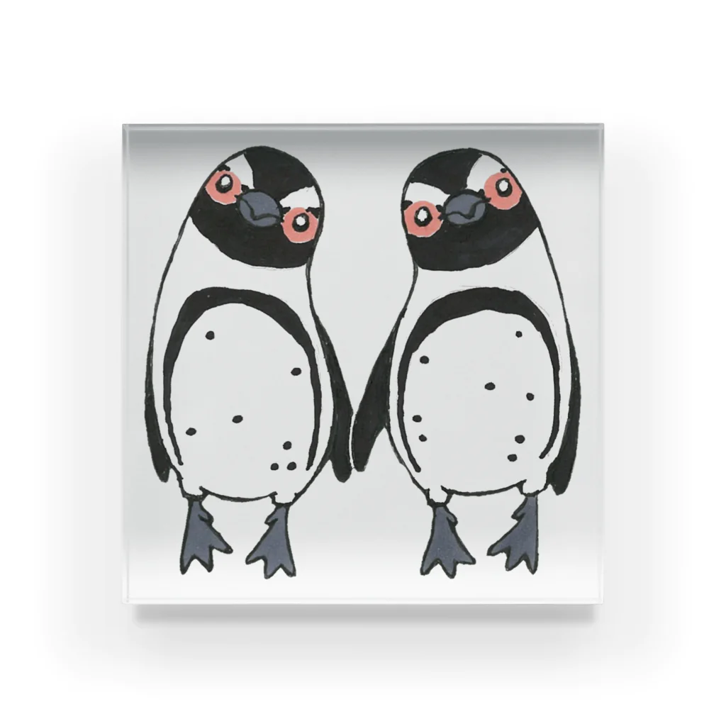 penguininkoの手繋ぎケープペンギンのカップル🐧❤️🐧 アクリルブロック