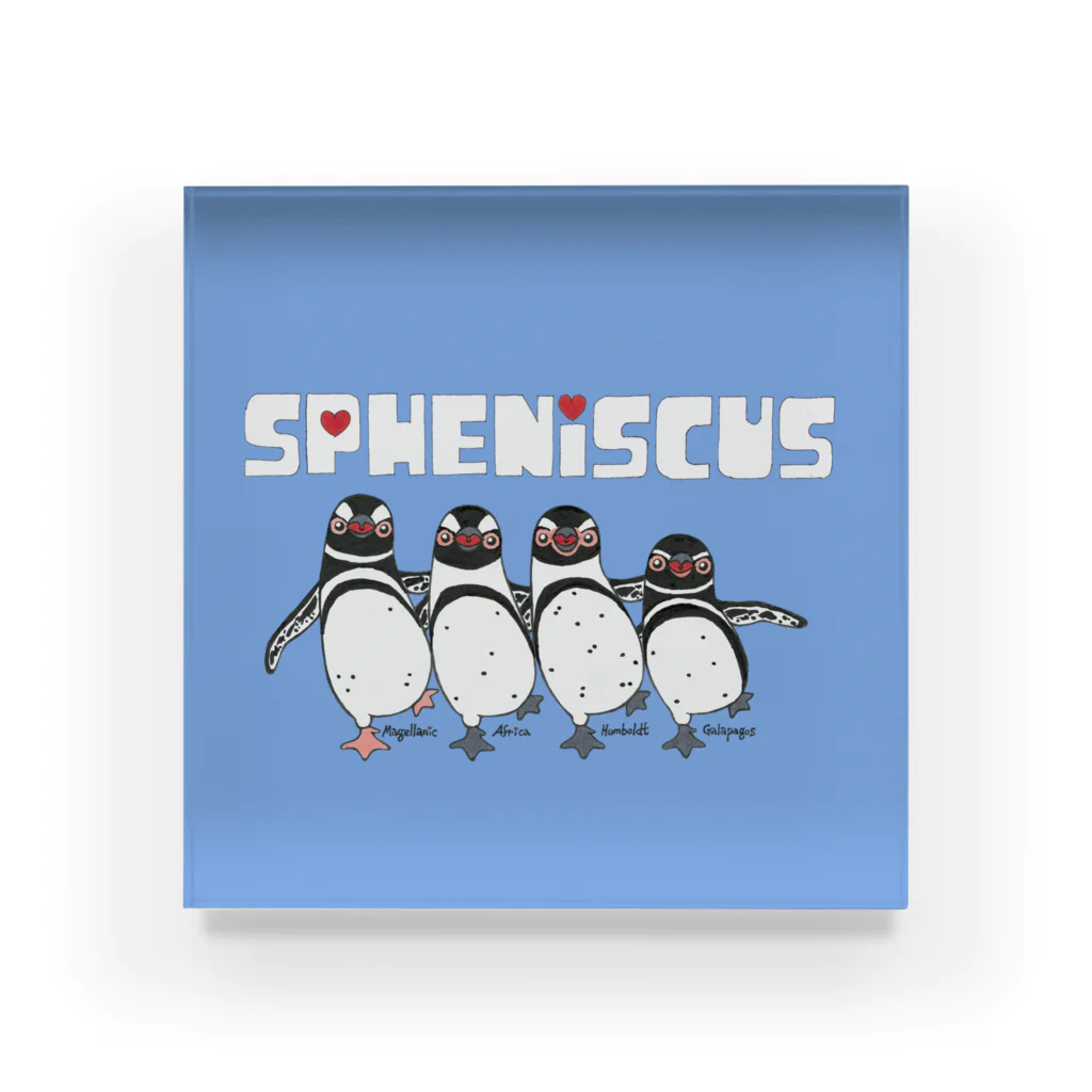 penguininkoのSpheniscusquartet blueversion② アクリルブロック