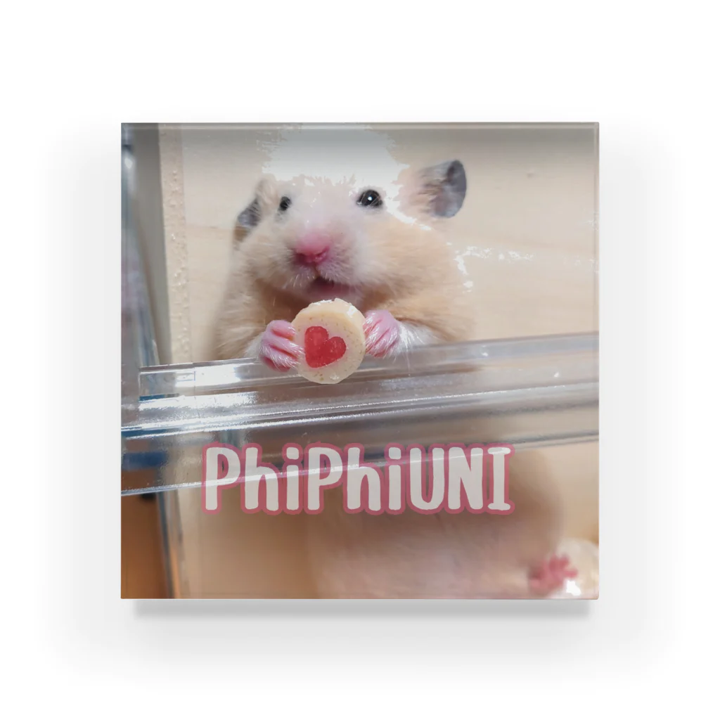 うに🐹きんくまのPhiPhiUNI アクリルブロック