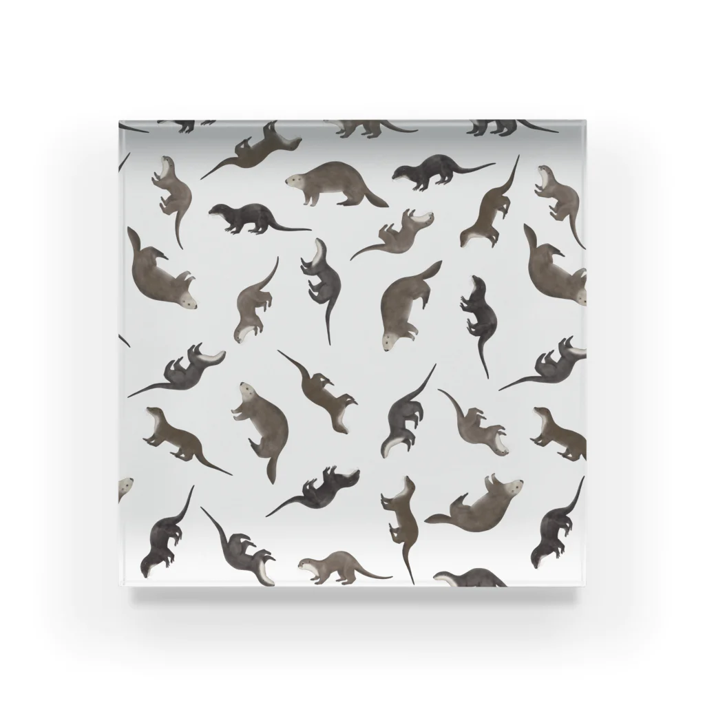 Five Otters in AsiaのFive Otters アクリルブロック