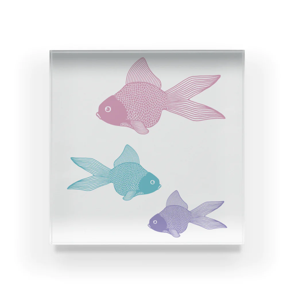 Alba spinaの金魚３匹 くすみパステル Acrylic Block