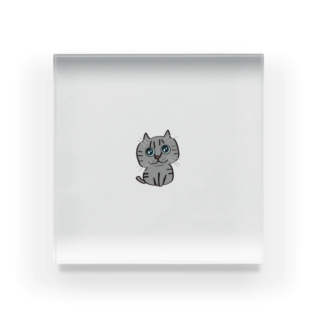 やまじろショップのやまじろところのふくちゃん Acrylic Block