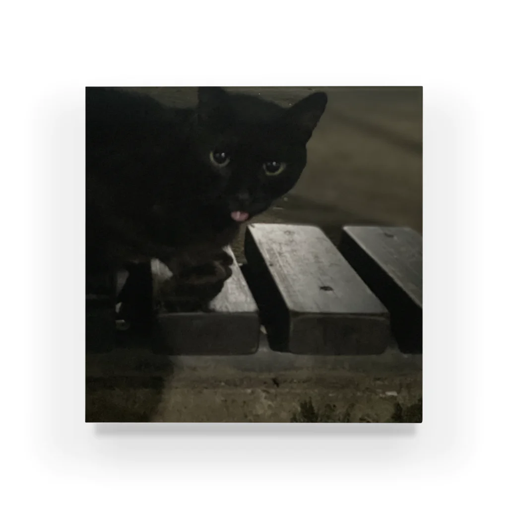 neko_00_nekoの黒猫さん Acrylic Block