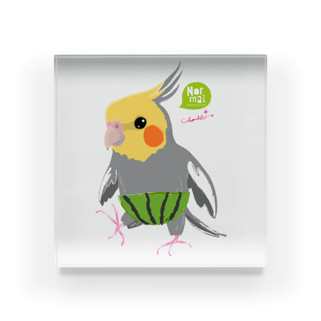 LittleLoroのノーマルオカメインコ スイカパンツ Acrylic Block