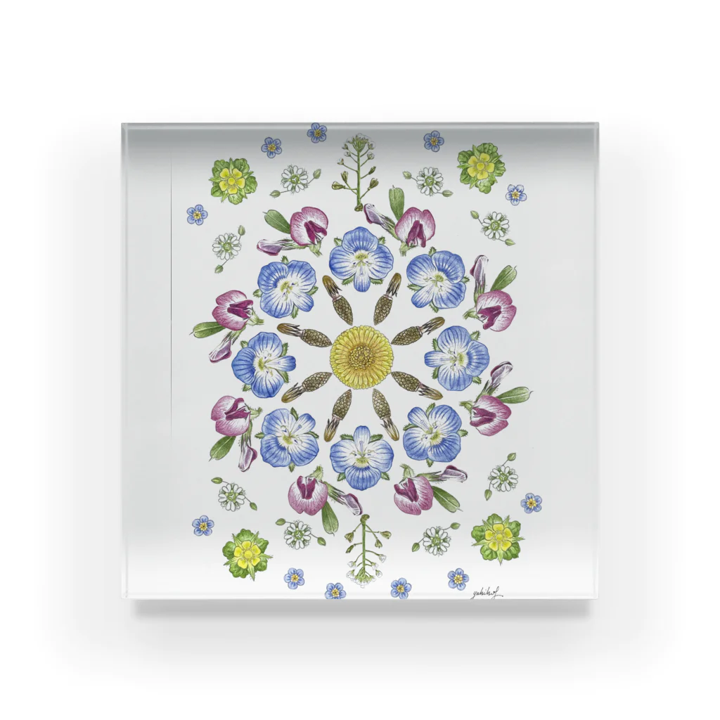 チョビのSpringflower Acrylic Block