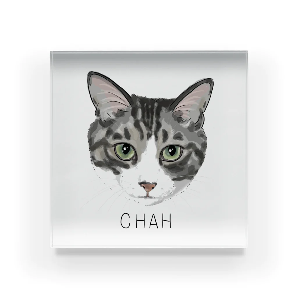 みきぞーん｜保護猫 ミッキー画伯と肉球とおともだちのchah Acrylic Block