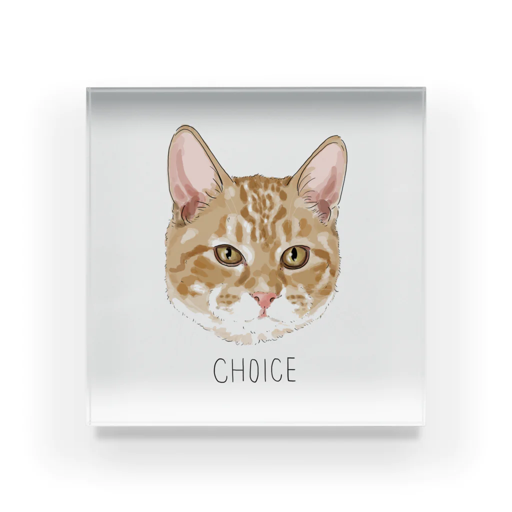 みきぞーん｜保護猫 ミッキー画伯と肉球とおともだちのchoice Acrylic Block