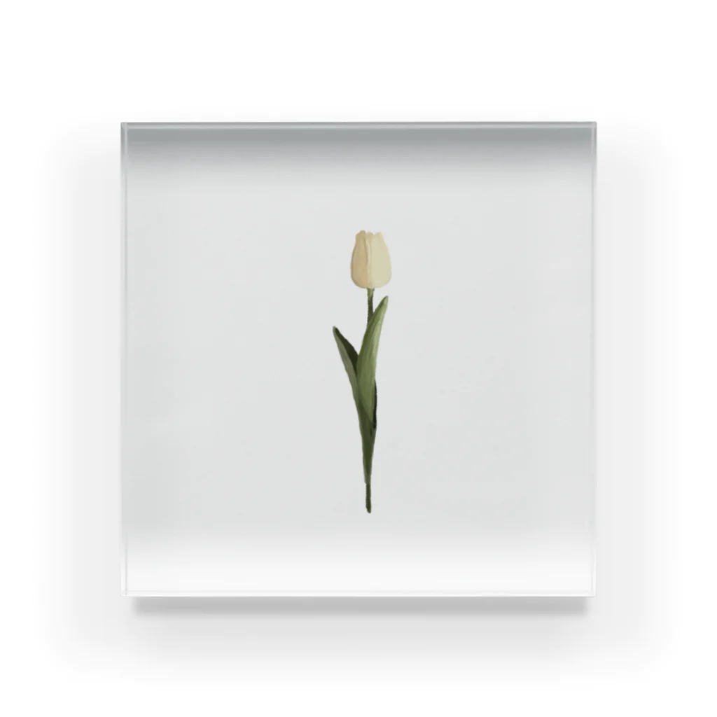 rilybiiのcream tulip Acrylic Block