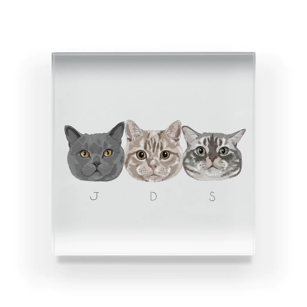 みきぞーん｜保護猫 ミッキー画伯と肉球とおともだちのJ&D&S Acrylic Block