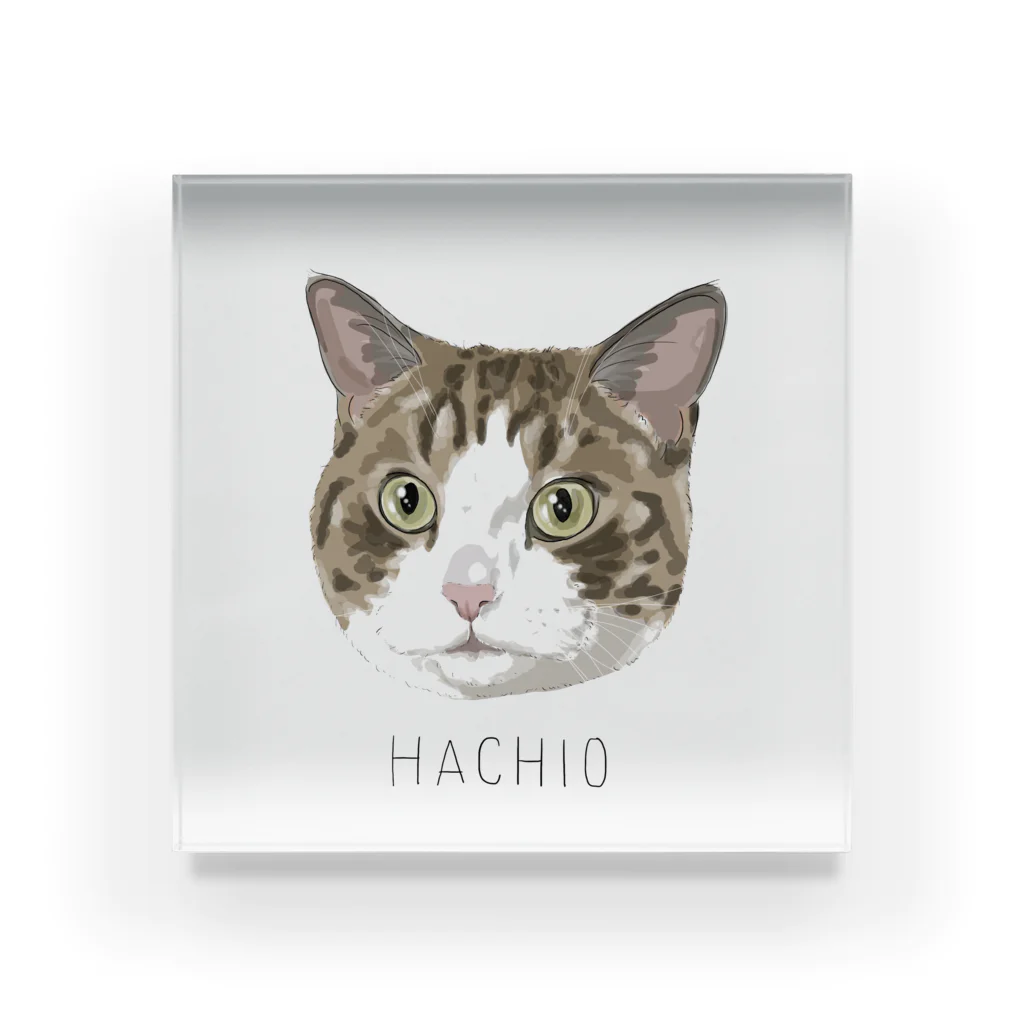 みきぞーん｜保護猫 ミッキー画伯と肉球とおともだちのhachio Acrylic Block