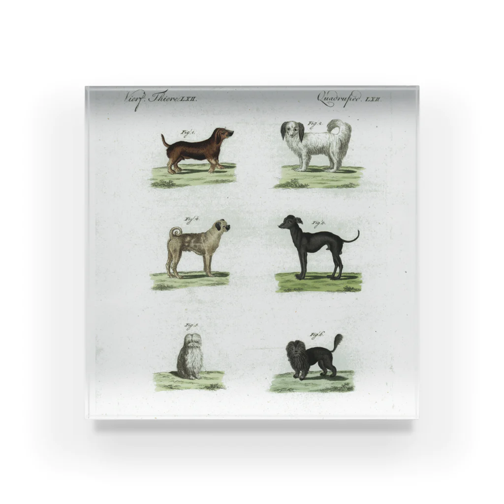 J. Jeffery Print Galleryの1802年ドイツの犬たち アクリルブロック