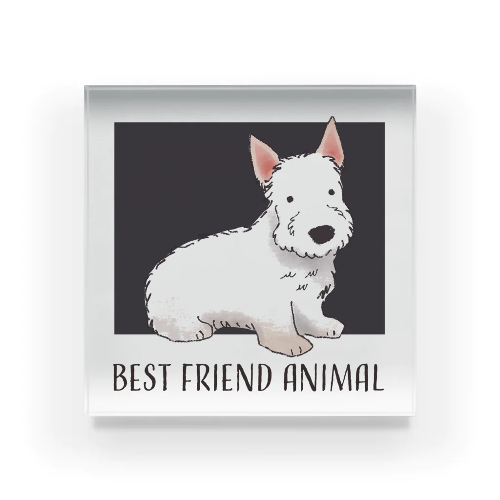 BFA/Best friend animalのスコティッシュテリア/BFA Acrylic Block