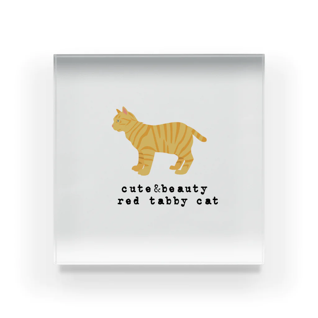 orange_honeyの猫1-5 茶トラ猫 Acrylic Block