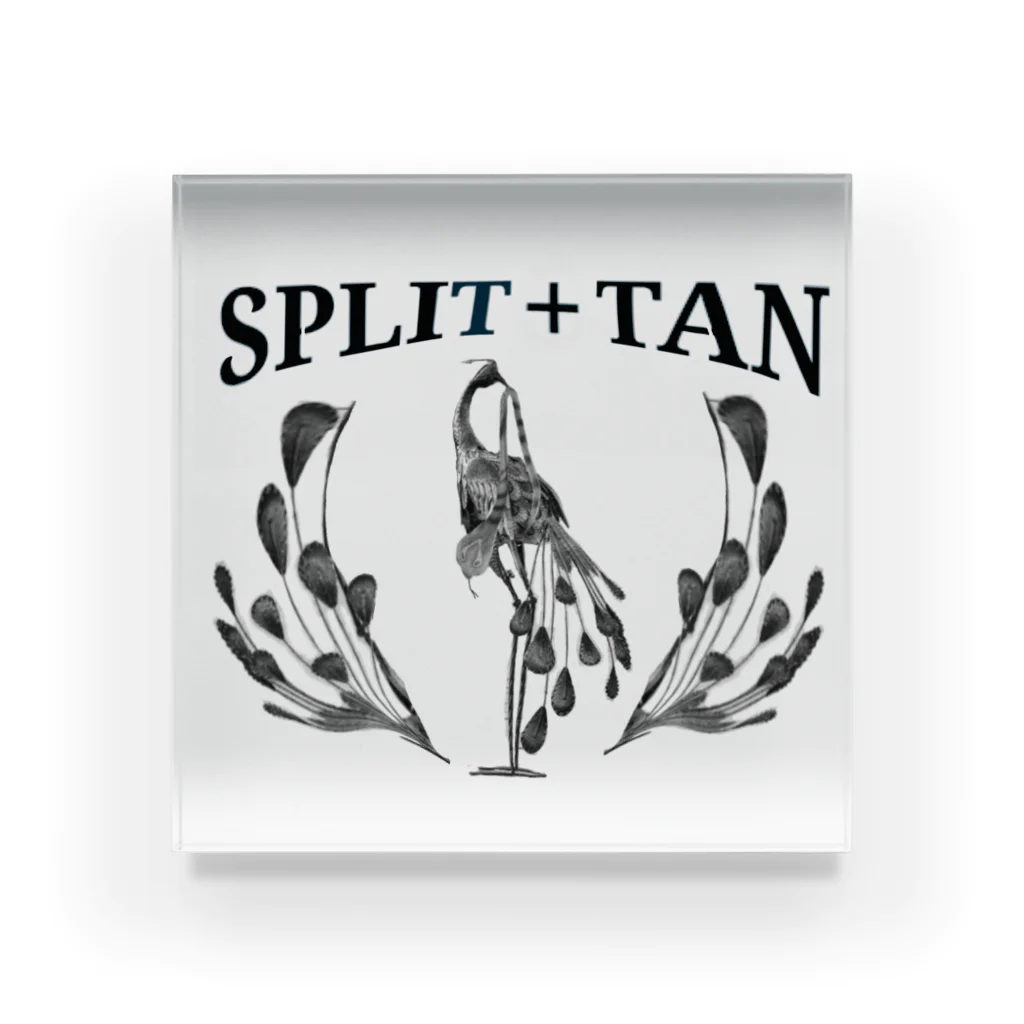 SPLIT+TANの【 SPLIT+TAN 】デジタルデザイン＆ロゴ アクリルブロック