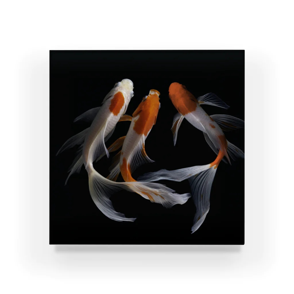 HOKO-ANの鯉 CARP No.1 Acrylic Block