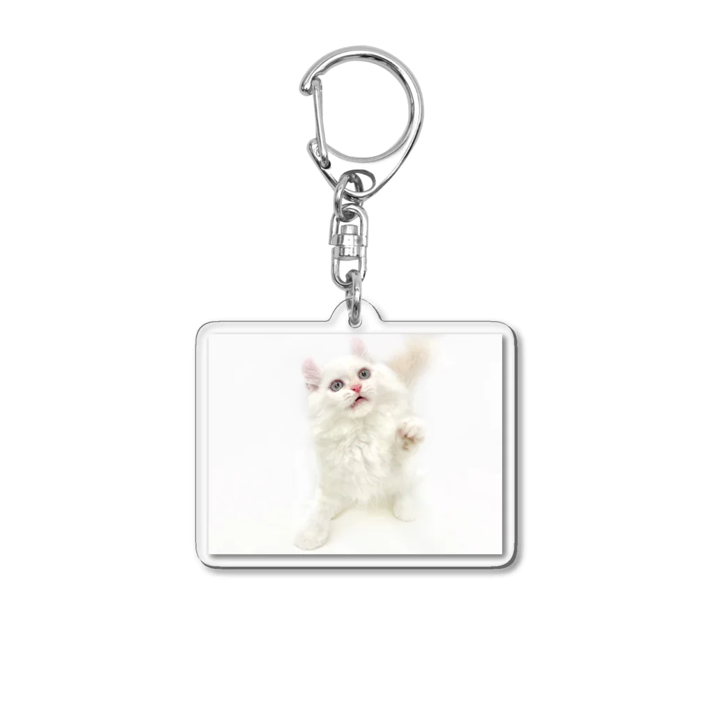 Milkoftheguineapigの白猫 Acrylic Key Chain